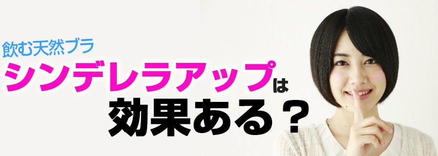 �V���f�����A�b�v�͌��ʂ���H�y�R�̐^���B�z